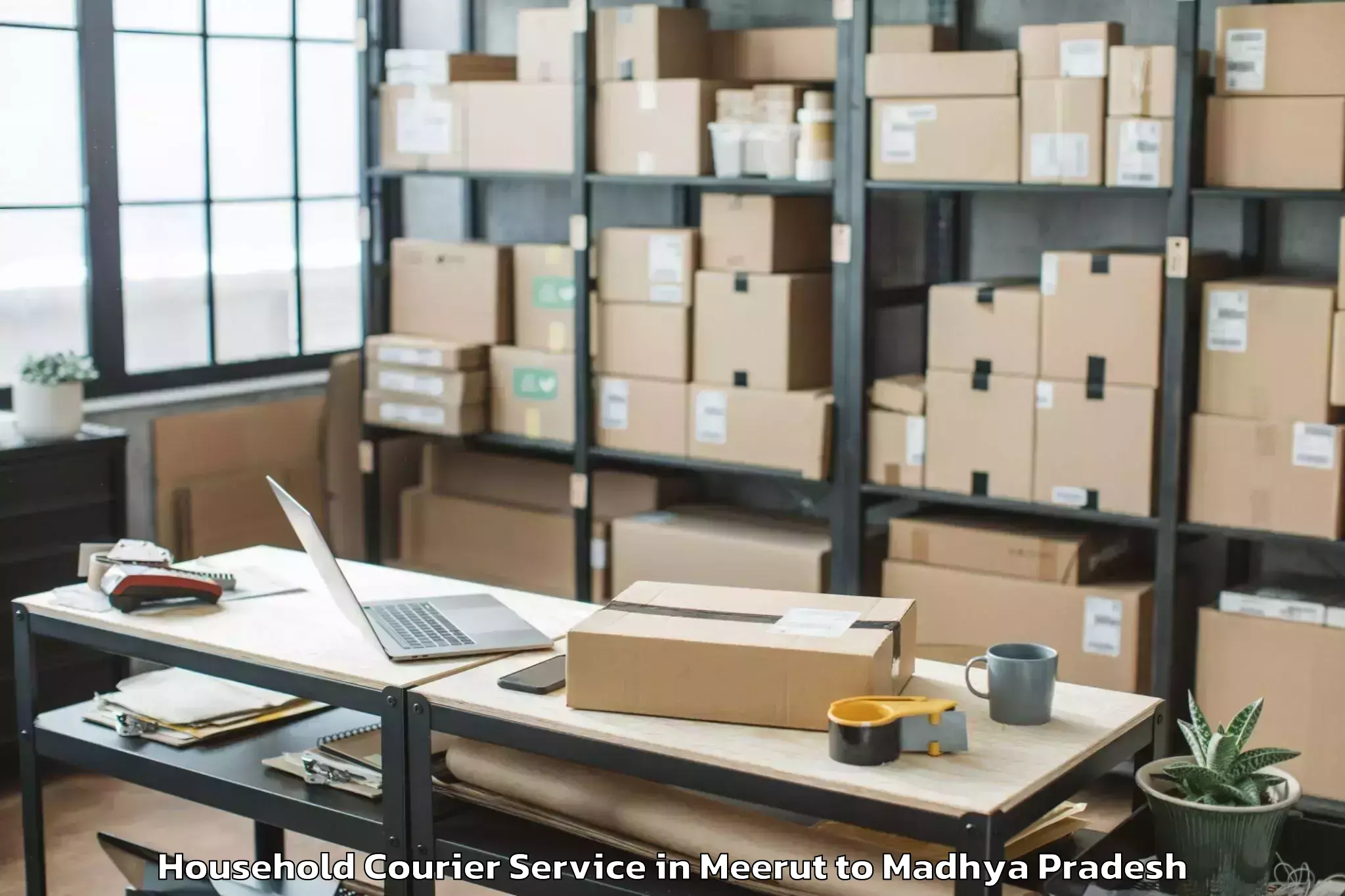 Top Meerut to Narmadapuram Household Courier Available